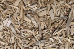 biomass boilers Waterlip