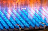 Waterlip gas fired boilers